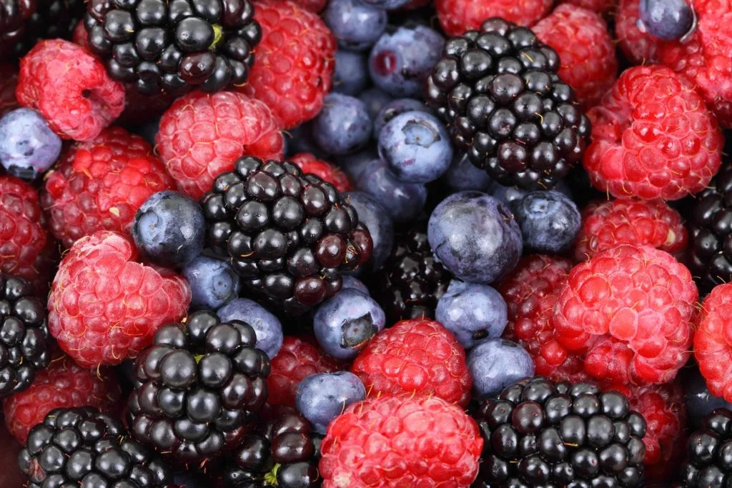 Nutricionista Funcional