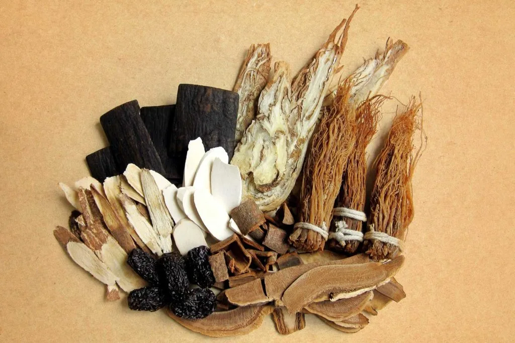Fitoterapia