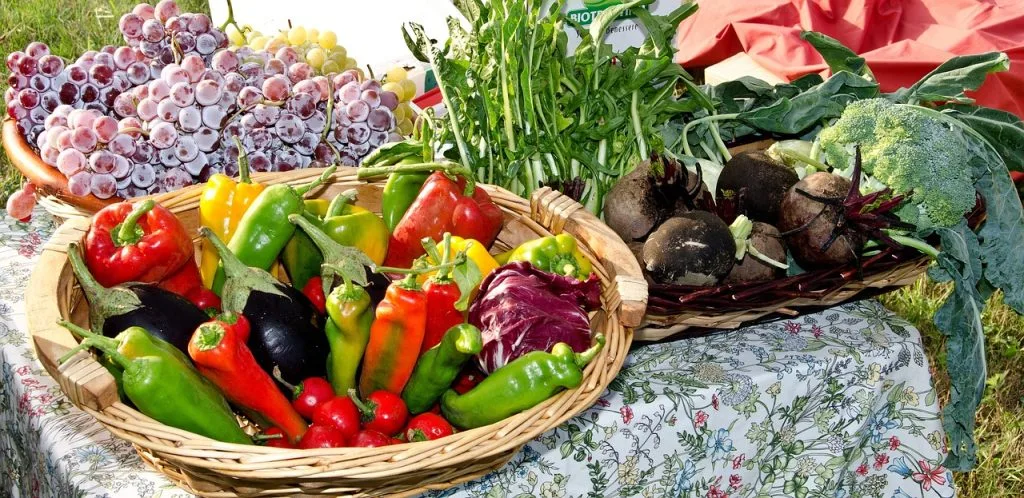 Vegetais e frutas frescas são a base para uma alimentação equilibrada e rica em fibras. Eles não apenas promovem uma digestão saudável, mas também ajudam a controlar o apetite e oferecem uma sensação de saciedade prolongada. Adicione mais cores e benefícios ao seu dia com escolhas nutritivas
